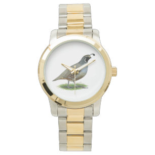 Montre Quail de la Californie