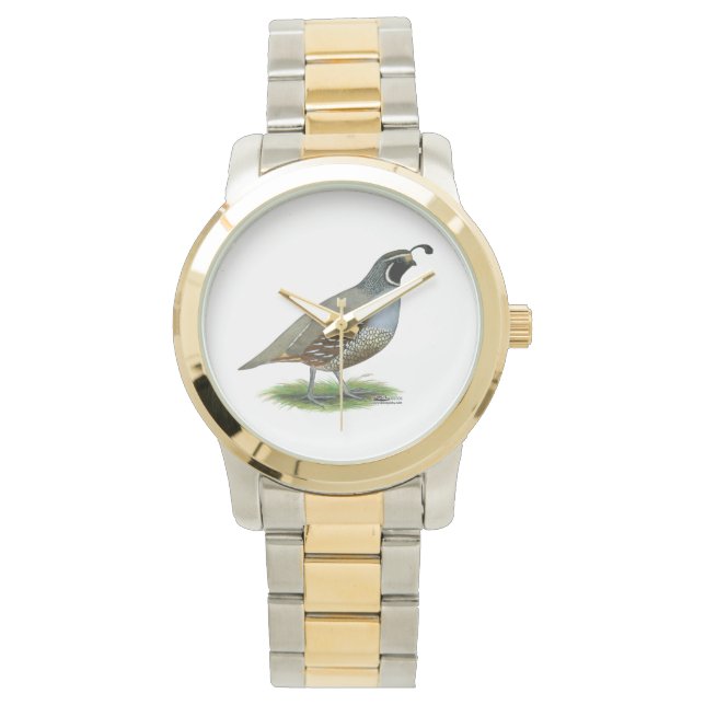 Montre Quail de la Californie (devant)