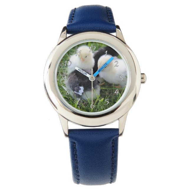 Montre Quatre poussins de poulet noir et jaune (devant)