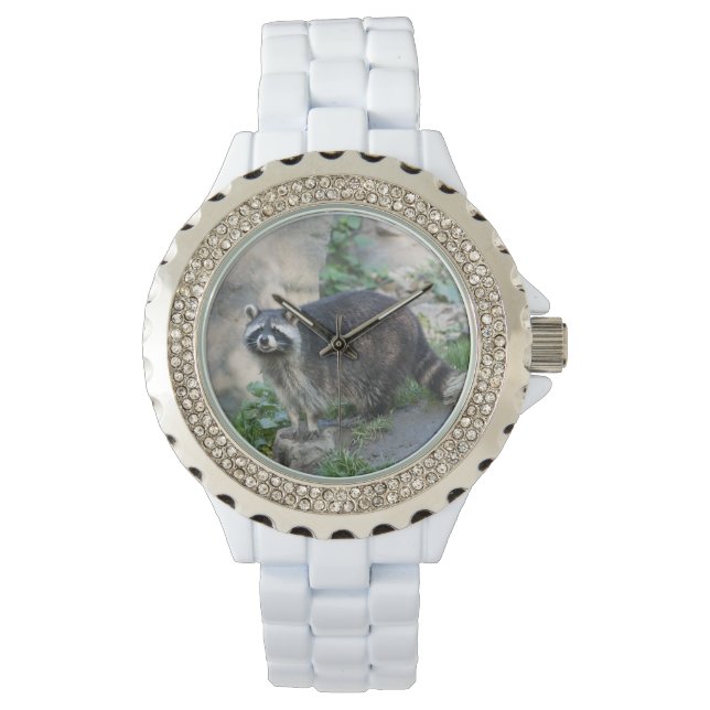 Montre Raccoon (devant)