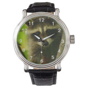 Montre raton laveur
