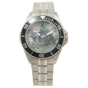 Montre Raton laveur