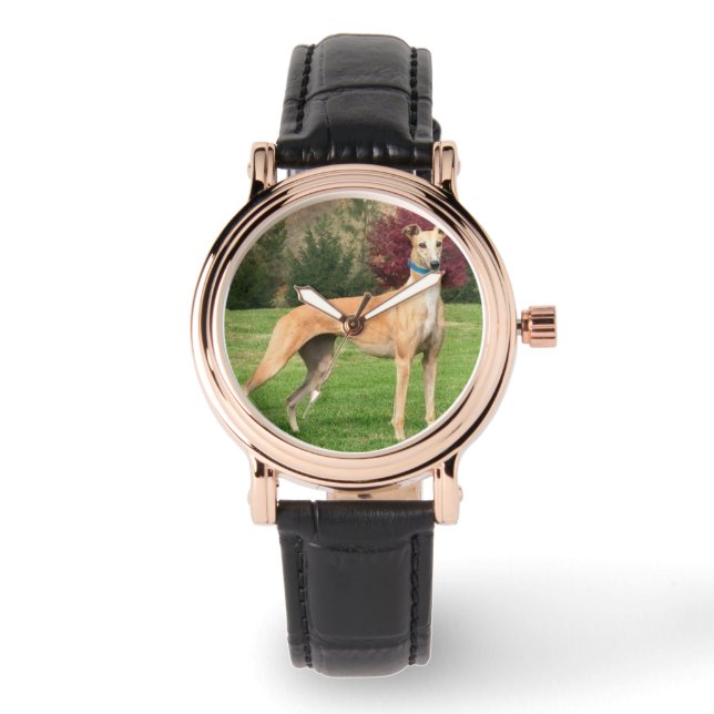 Montre Regarder Greyhound (Recto)