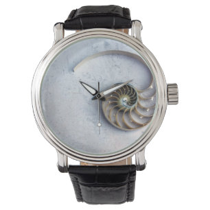 Montre Regarder la coque de nausolée du coquillage