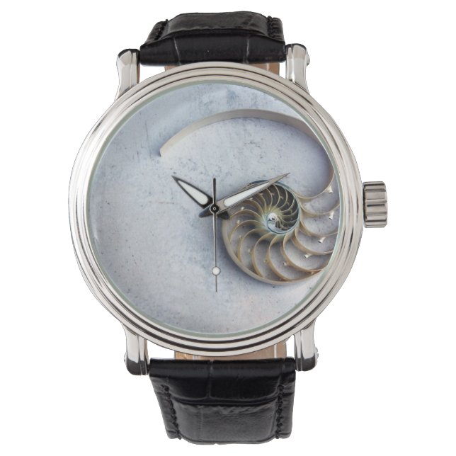 Montre Regarder la coque de nausolée du coquillage (devant)