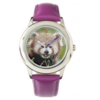 Montre Regardez la photo panda rouge. Panda roux.