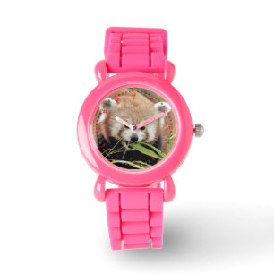Montre Regardez le panda rouge photo. Panda roux.