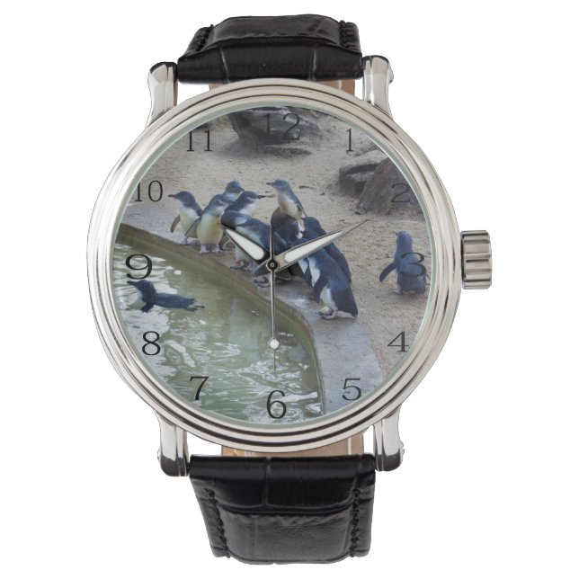 Montre Relais de pingouin : Équipe de natation de pingoui (devant)