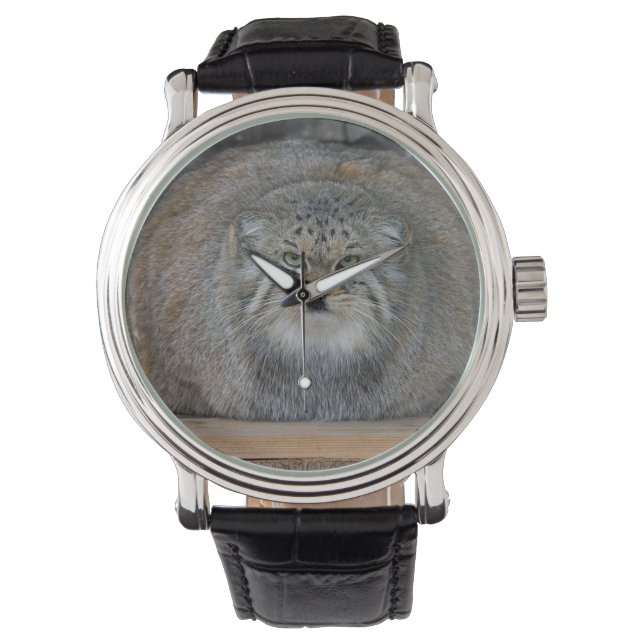 Montre Reloj de Cuero de gato Palla (devant)