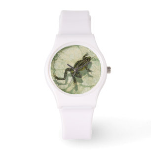 Montre Remonter le crapaud dans l'eau