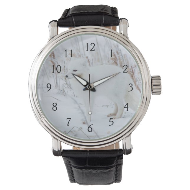Montre Renard arctique (devant)