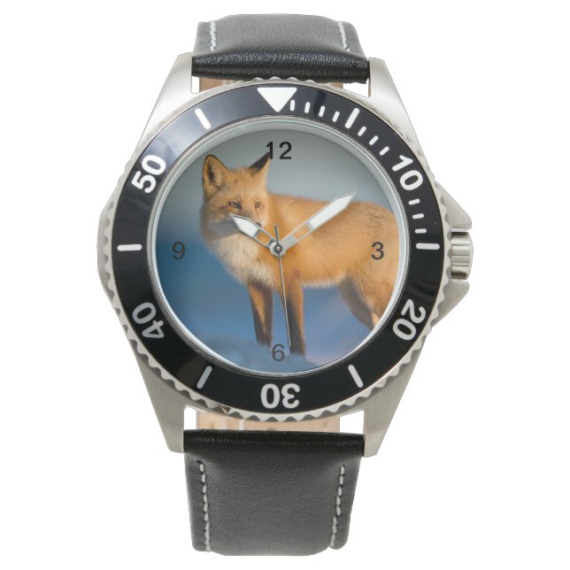 Montre Renard Brown (devant)