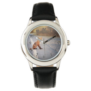 Montre Renard rouge Assis sur le côté de la route