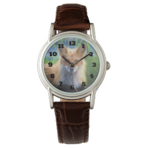 Montre Renard rouge se tenant dans l'herbe Image de la fa
