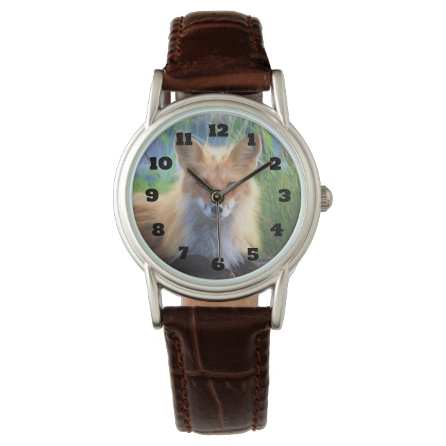 Montre Renard rouge se tenant dans l'herbe Image de la fa (devant)