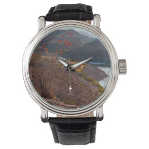 Montre Rio Grande traversant le désert de Chihuahuan
