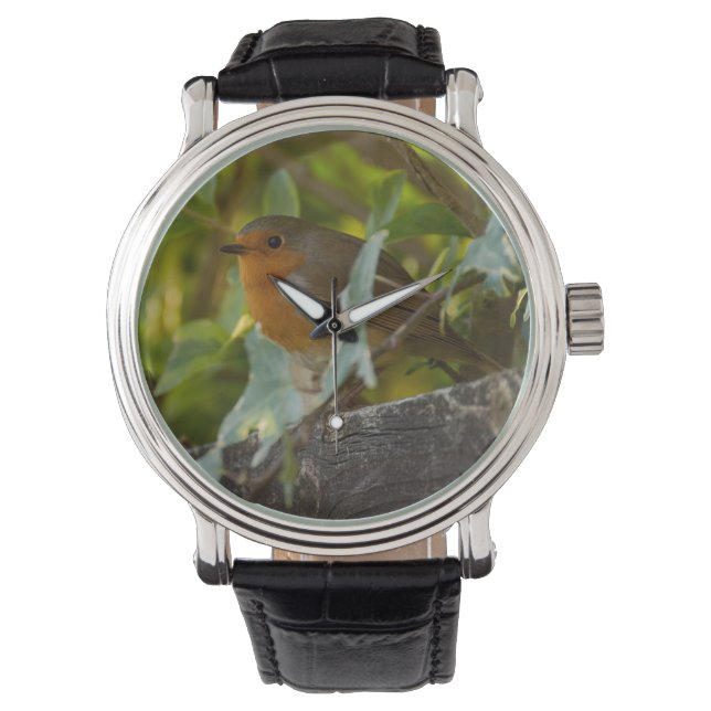 Montre Robin (devant)