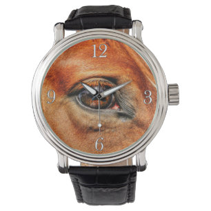 Montre Rouge Dun Horse Oeil équin Portrait photo