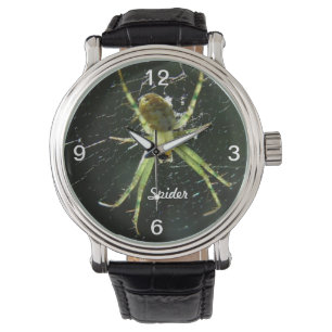 Montre rougeoyante verte d'araignée
