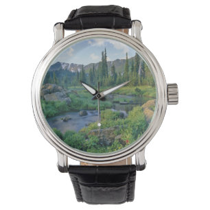 Montre Ruisseau Picnic dans le Jewel Basin de Swan