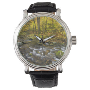 Montre Ruisseau Sanderson. Forêt d'État de Chester-Blanf