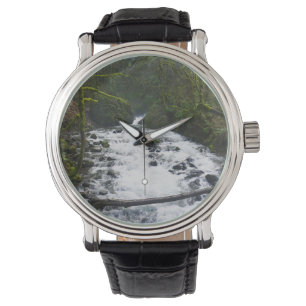 Montre Runoff from Bridal Veil Falls