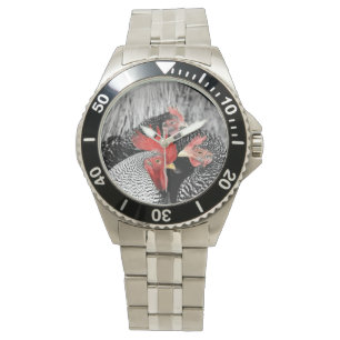 Montre rurale ou de poulet d'agriculteur de coq de