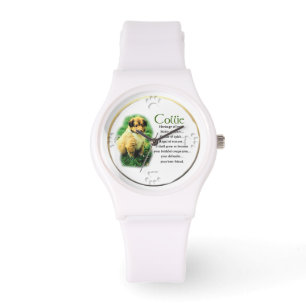 Montre Sable Rough Collie Puppy