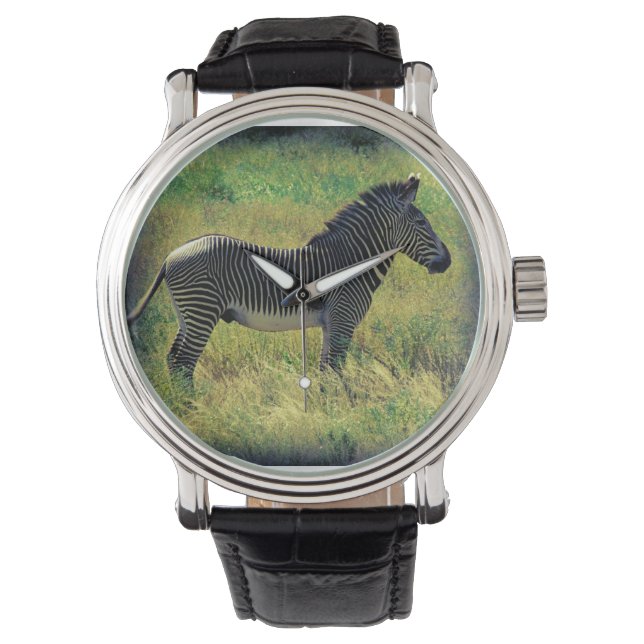 Montre Samburu Zebra (devant)
