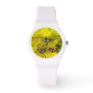 Montre Sammamish Washington Photographie de papillon sur