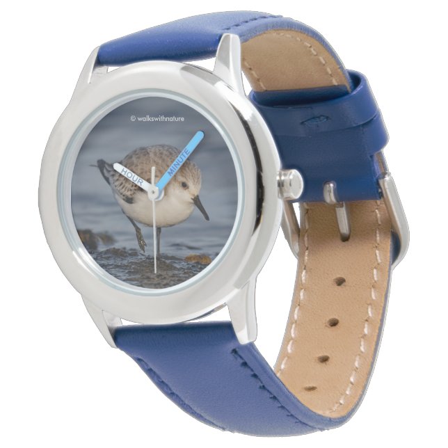 Montre Sanderling se promène sur une plage d'hiver (Incliné)