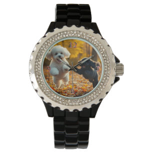 Montre Saupoudrer les chiots de caniche
