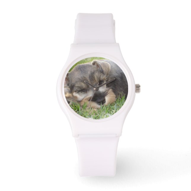 Montre Schnauzer (Recto)