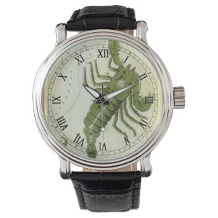 Montre Scorpio, le miroir de la constellation Vintage Ura