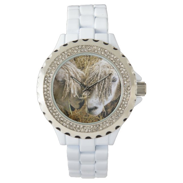 MONTRE SHEEP (devant)