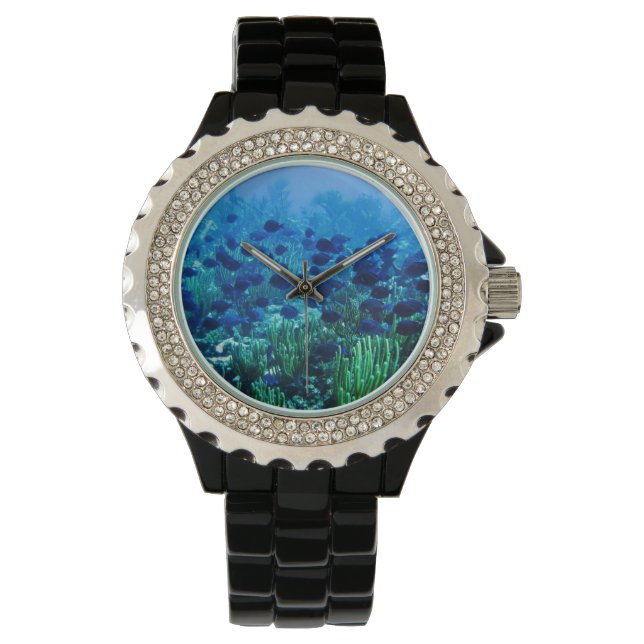 Montre Shoal of Blue Discus Fish (devant)
