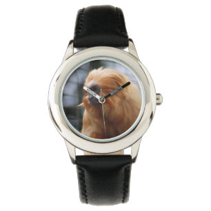 Montre Singe Lion d'or Tamarin