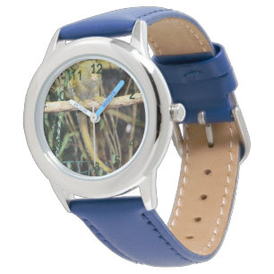Montre Singe Marmoset En Alerte, Wids Wistwatch