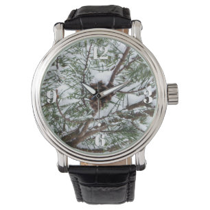 Montre Snowy Pine Cône II hiver Photographie de la nature