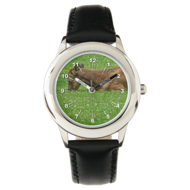 Montre Sommeil petit un (devant)