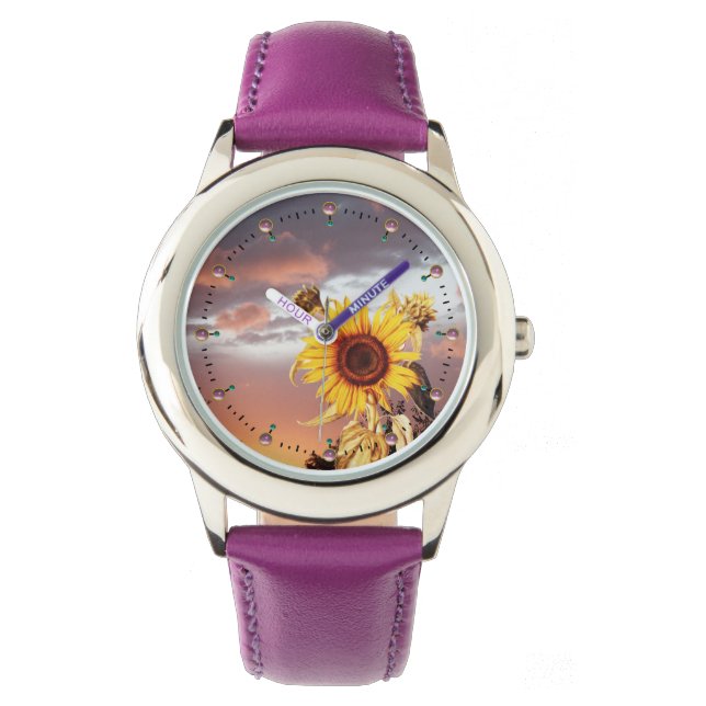 MONTRE SOUFFRANCES ET COUCHER DE SOLEIL D'ÉTÉ, NUAGES ROS (devant)
