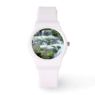 Montre Source aux fougères, Parc national de Yosemite