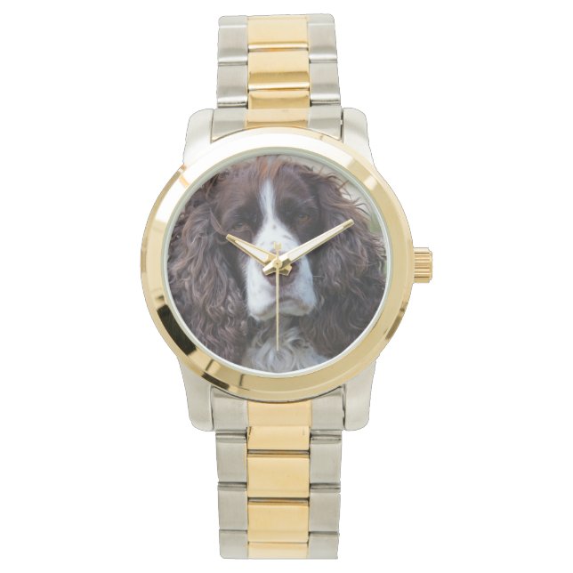 Montre spaniel de springer anglais.png (devant)