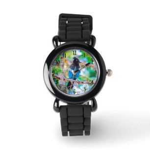 Montre Steller's Jay - Photographie originale