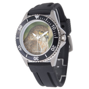 Montre Superbe Épervier à cuisses rousses en visite