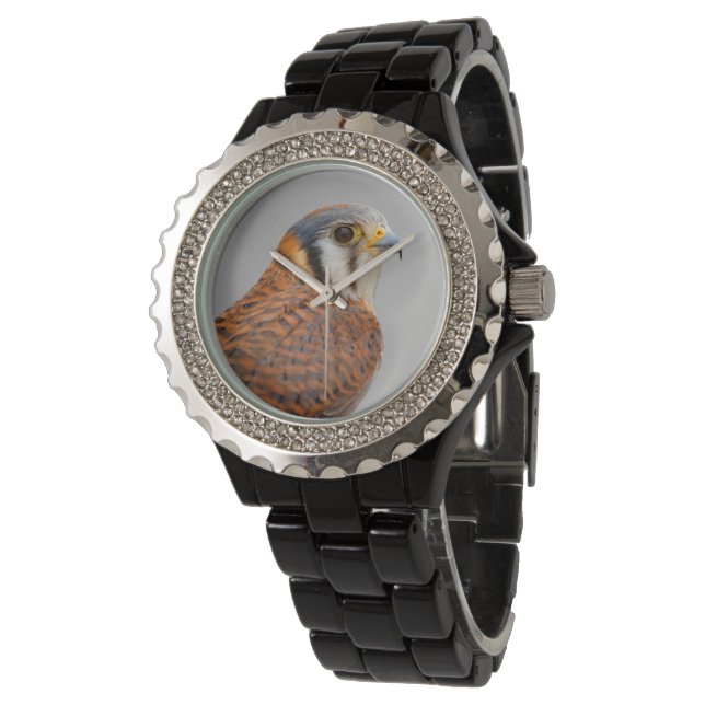 Montre Superbe faucon de la Kestrel aux États-Unis Oiseau (Incliné)