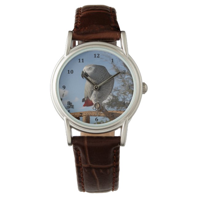 Montre Superbe perroquet gris africain (devant)