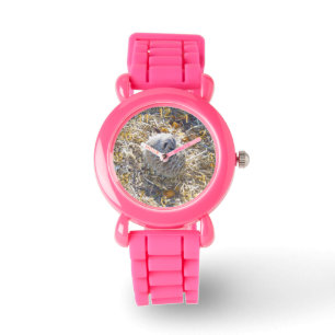Montre Suricate Construit Un Nid,