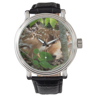 Montre Surveillance de la faune