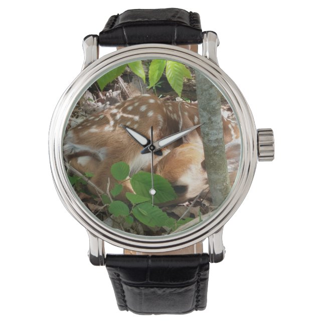 Montre Surveillance de la faune (devant)